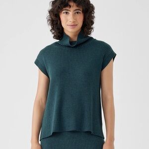 Eileen Fisher Merino Wool Turtleneck Cap Sleeves Top Sz 2x in Alpine